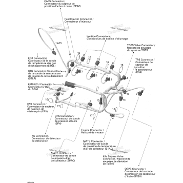 ENGINE HARNESS