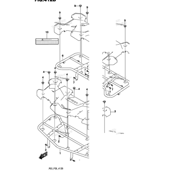 CARRIER (P28)