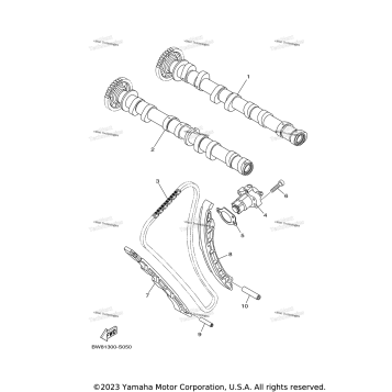 CAMSHAFT & CHAIN
