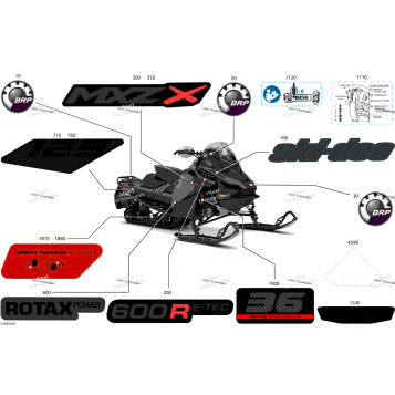 BODY - DECALS