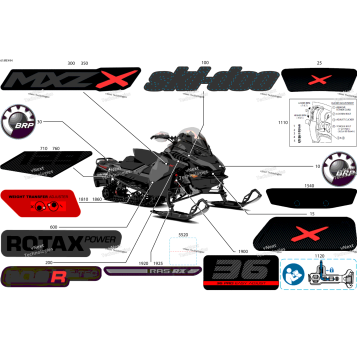 BODY - DECALS