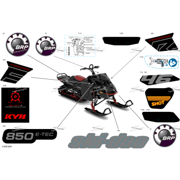 BODY - DECALS