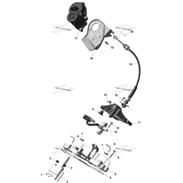 ROTAX - RAVE VALVE