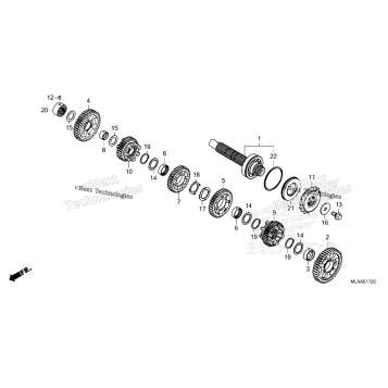 TRANSMISSION (COUNTERSHAFT) (CMX1100D/D2)