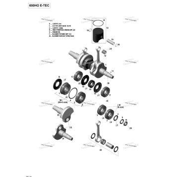 CRANKSHAFT AND PISTONS - 600HO E-TEC