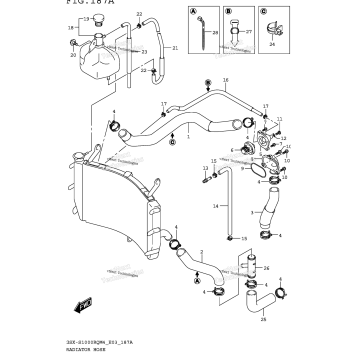 RADIATOR HOSE