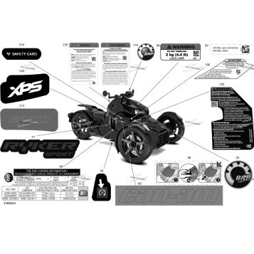BODY - DECALS