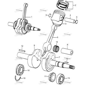 CRANKSHAFT