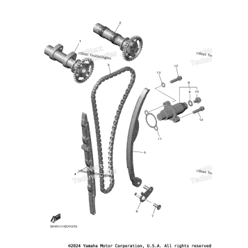 CAMSHAFT & CHAIN