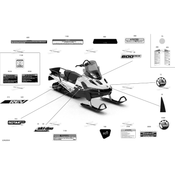 BODY - DECALS - SPORT