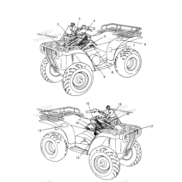 DECALS SPORTSMAN 4X4