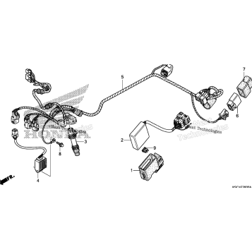 WIRE HARNESS