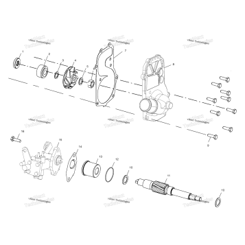 WATER PUMP/OIL PUMP