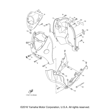 LEG SHIELD