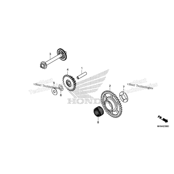 STARTING DRIVEN GEAR