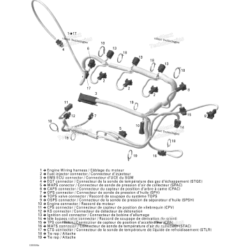 ENGINE HARNESS