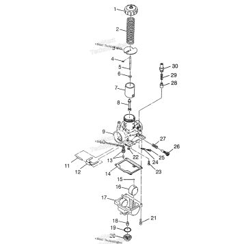 CARBURETOR XPLORER 300