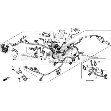 WIRE HARNESS + HORN