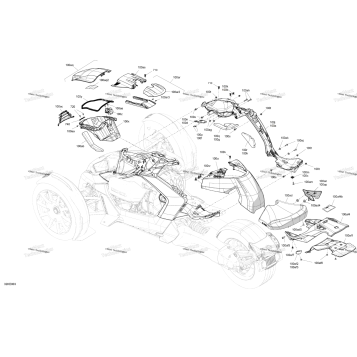 BODY - UPPER SECTION