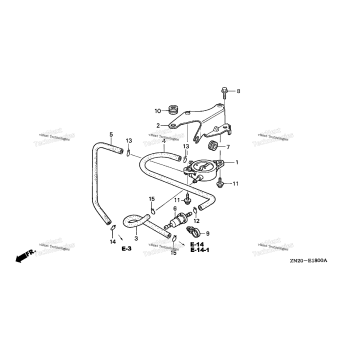 FUEL PUMP (TAF)
