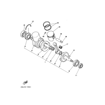 CRANKSHAFT PISTON