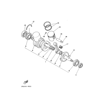 CRANKSHAFT PISTON