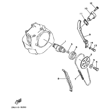 CAMSHAFT - CHAIN