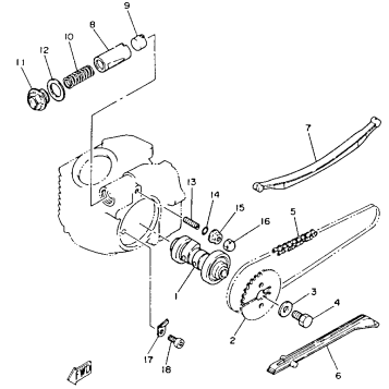 CAMSHAFT - CHAIN