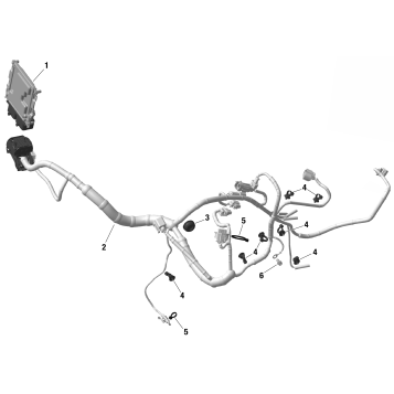 01- ROTAX - Engine Harness And Electronic Module