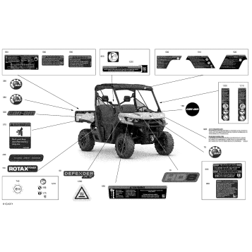 07- Body - Decals - XT