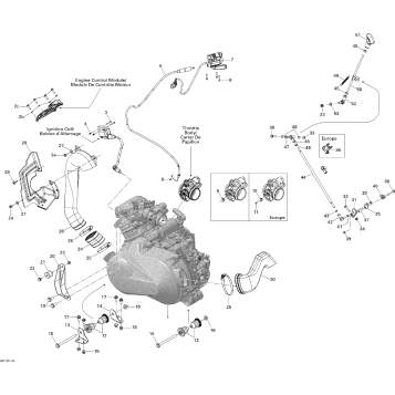 01- Engine And Engine Support