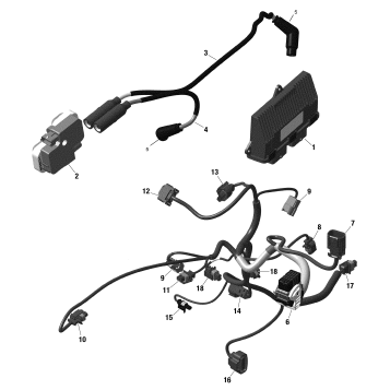 10- Engine Harness And Electronic Module - 339