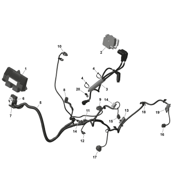 01- ROTAX - Engine Harness And Electronic Module