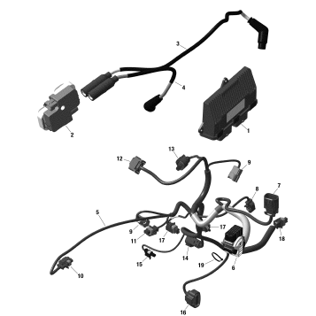 01- Rotax - Engine Harness And Electronic Module - 215
