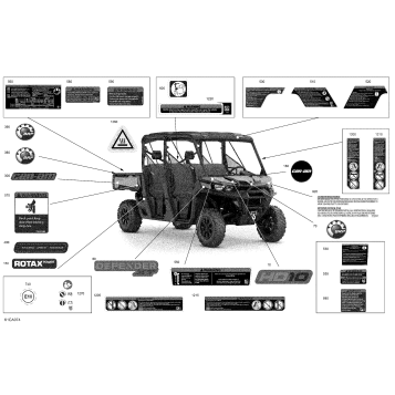 07- Body - Decals - XT
