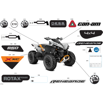 07- Body - Feature Decals