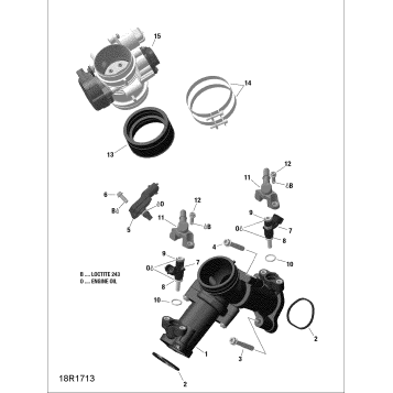 01- ROTAX - Air Intake Manifold and Throttle Body