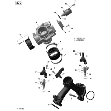 01- ROTAX - Air Intake Manifold and Throttle Body