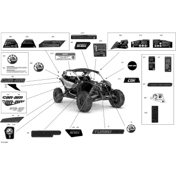 07- Body - Decals - XRS