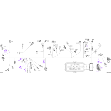 08- Electric - Main Harness - 710005560