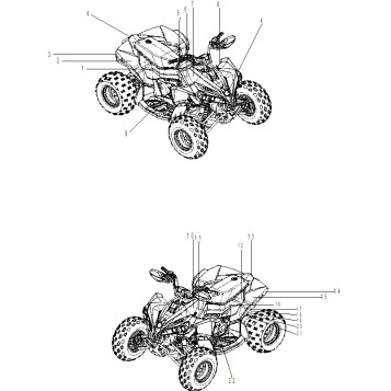 07- Body - Decal XXC