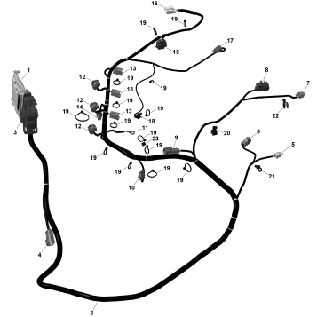 01- ROTAX - Engine Harness And Electronic Module