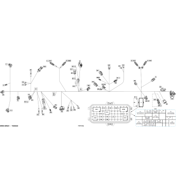 08- Electric - Main Harness - 710009779