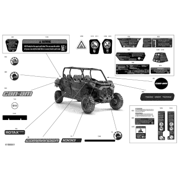 07- Body - Decals
