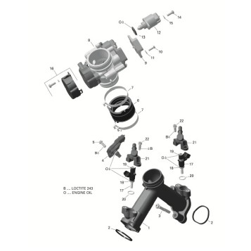 01-ROTAX - Air Intake Manifold And Throttle Body