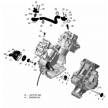 01- ROTAX - Engine Cooling