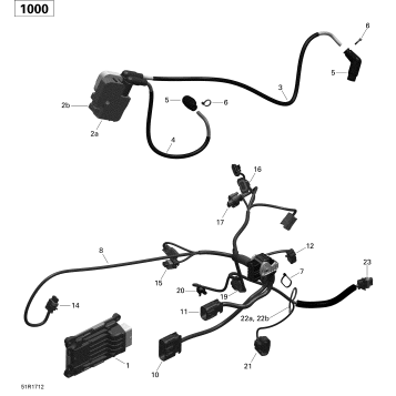 10- Engine Harness and Electronic Module - 1000 EFI (Package T3)