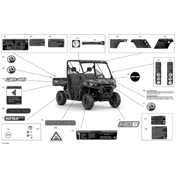 07- Body - Decals - DPS