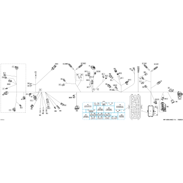 08- Electric - Main Harness - 710009781