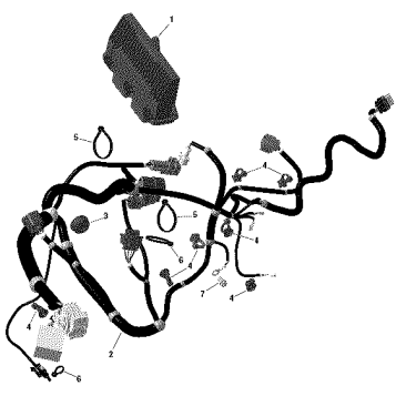 01- ROTAX - Engine Harness And Electronic Module - 700 EFI